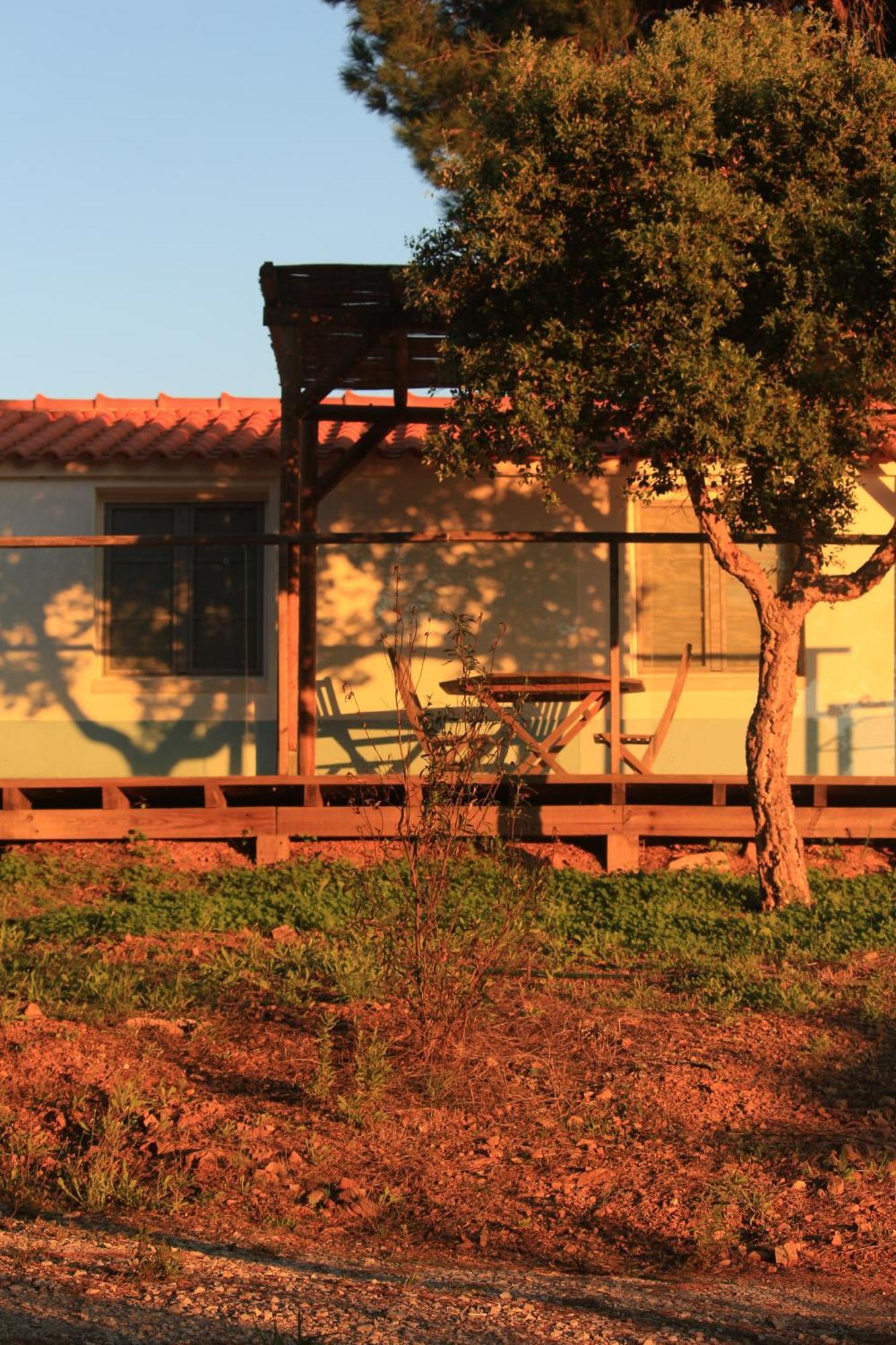Monte Sardinha Guest House Santiago do Cacém Rom bilde